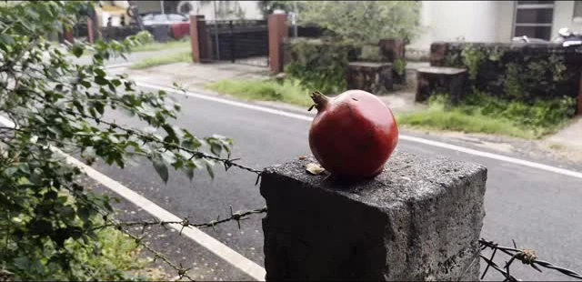The opening frame of the film: a pomegranate resting on a concrete post beside a road
